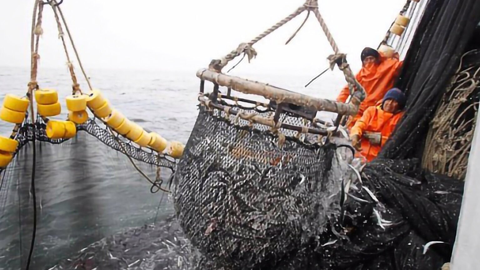 Los veteranos denuncian la pesca ilegal y otras cuestiones que perjudican el medio ambiente. Foto: Observatorio Malvinas Legislatura Rio Negro.